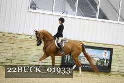 22BUCK_01933 proof