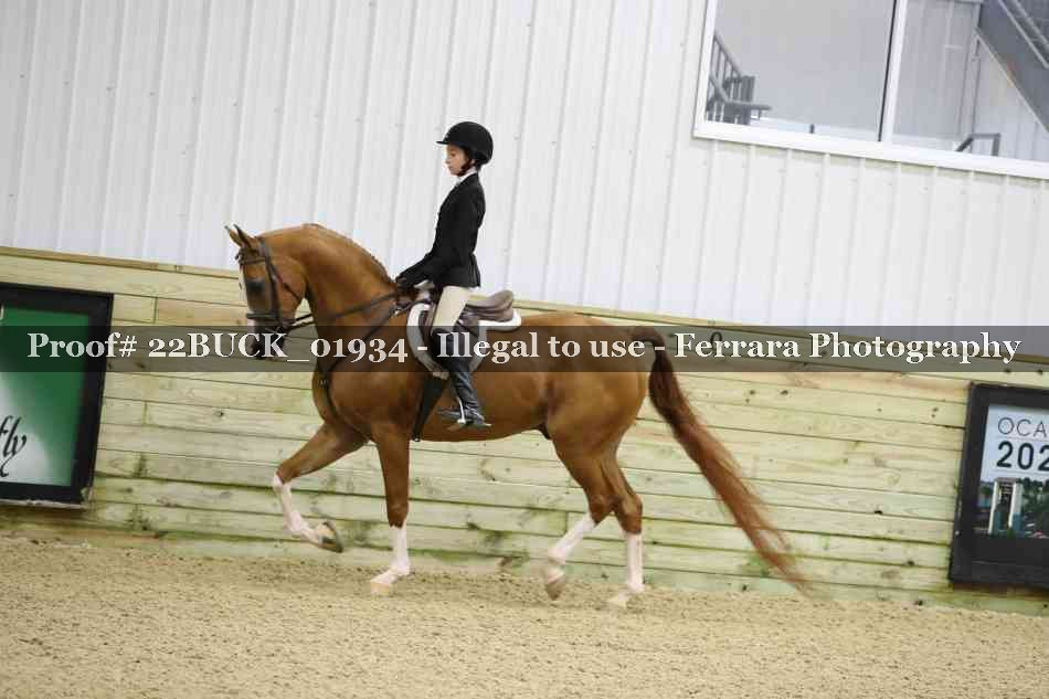 Proof 22BUCK_01934
