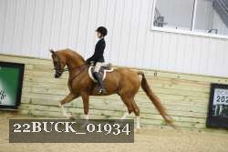 22BUCK_01934 proof