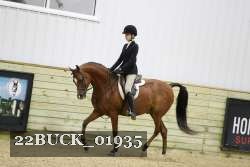 22BUCK_01935 proof