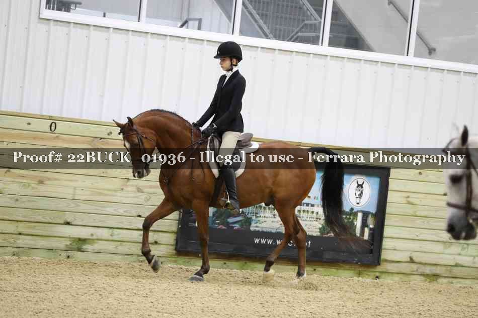 Proof 22BUCK_01936