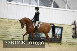22BUCK_01936 proof
