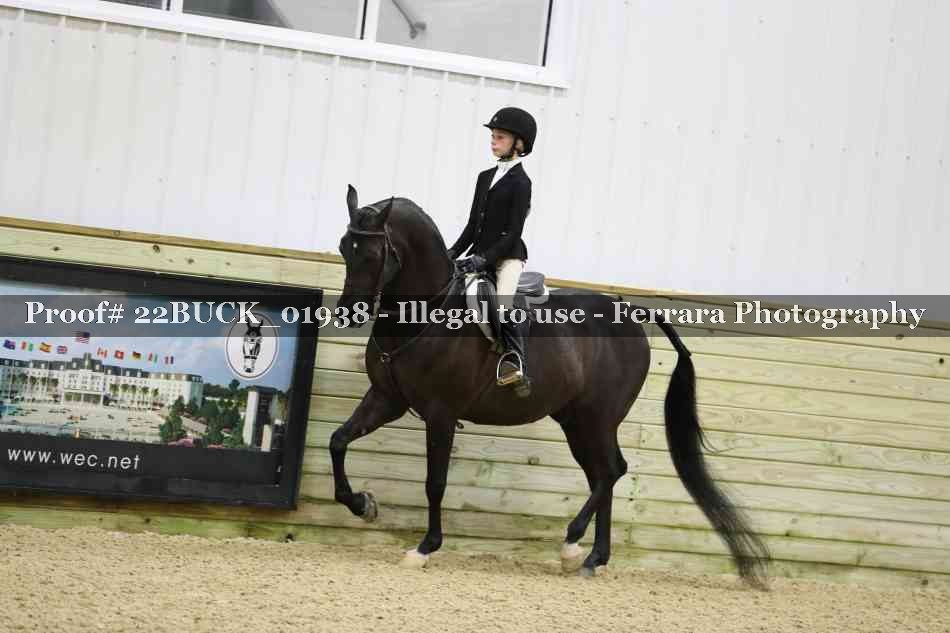 Proof 22BUCK_01938