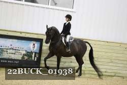 22BUCK_01938 proof