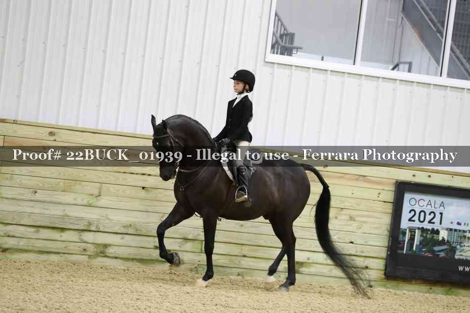 Proof 22BUCK_01939