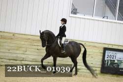 22BUCK_01939 proof