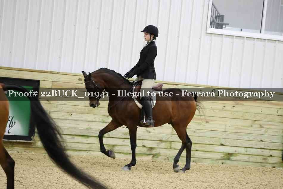 Proof 22BUCK_01941