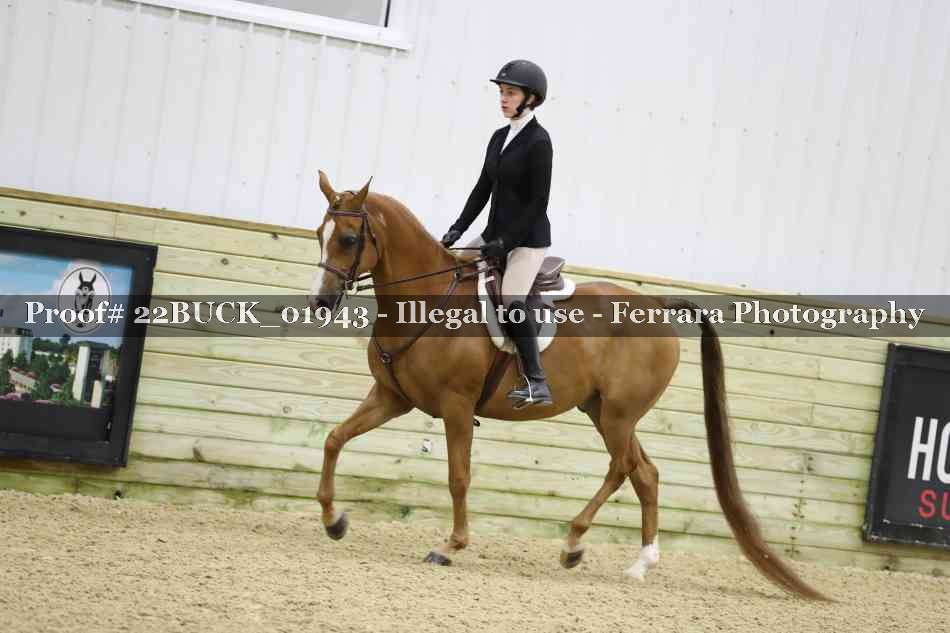 Proof 22BUCK_01943