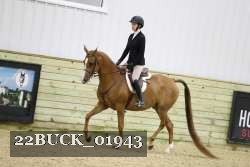 22BUCK_01943 proof