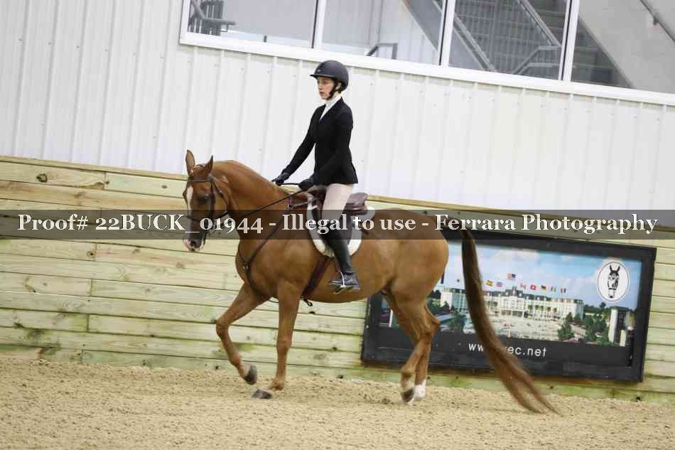 Proof 22BUCK_01944