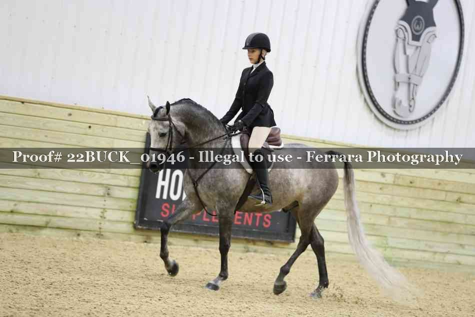 Proof 22BUCK_01946