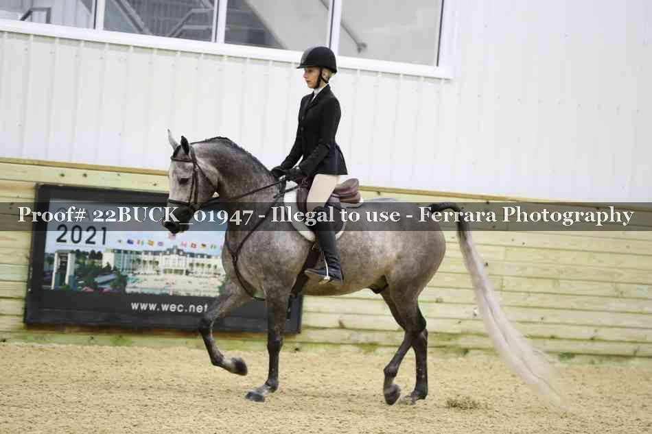 Proof 22BUCK_01947
