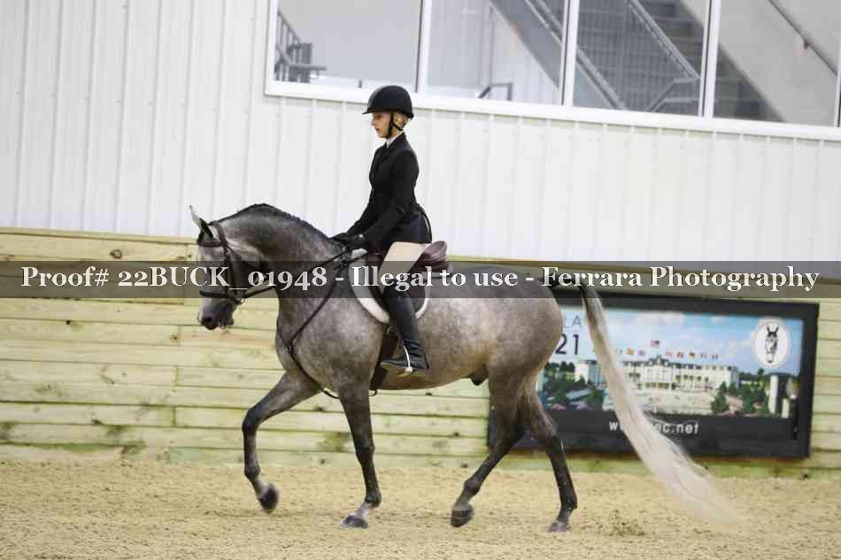 Proof 22BUCK_01948
