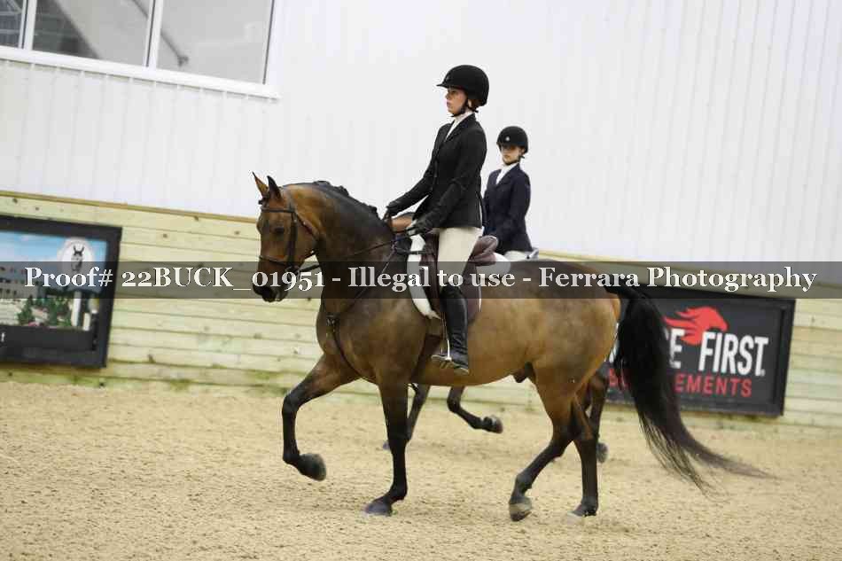 Proof 22BUCK_01951