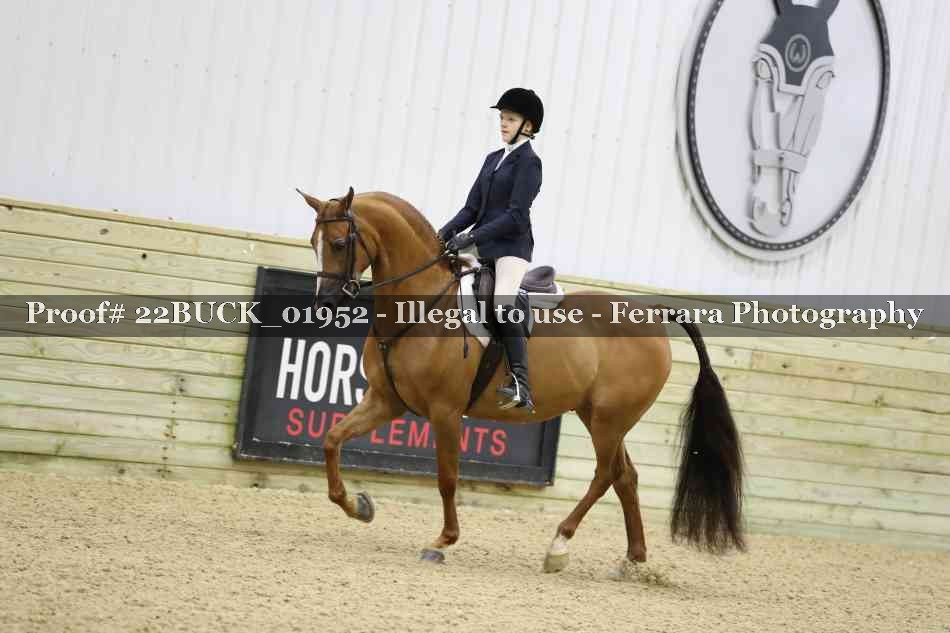 Proof 22BUCK_01952