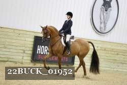 22BUCK_01952 proof