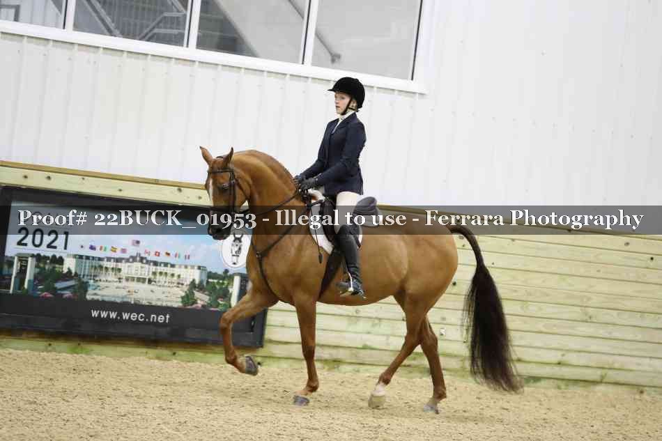 Proof 22BUCK_01953