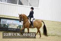 22BUCK_01953 proof