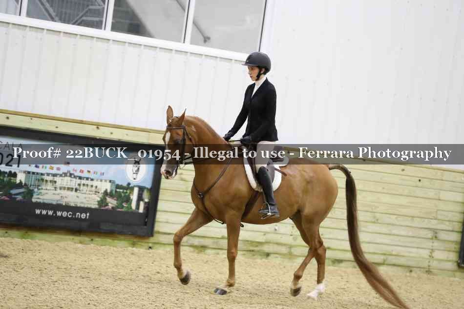 Proof 22BUCK_01954