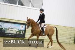 22BUCK_01954 proof