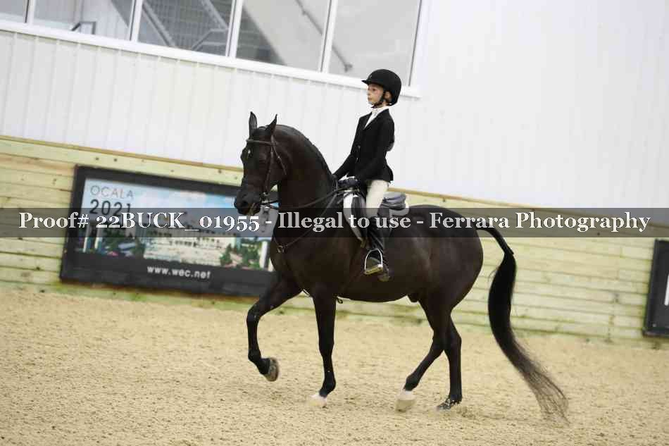 Proof 22BUCK_01955