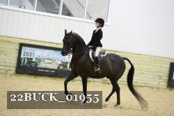 22BUCK_01955 proof