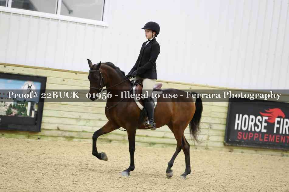Proof 22BUCK_01956