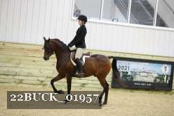 22BUCK_01957 proof