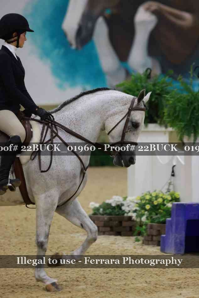 Proof 22BUCK_01960