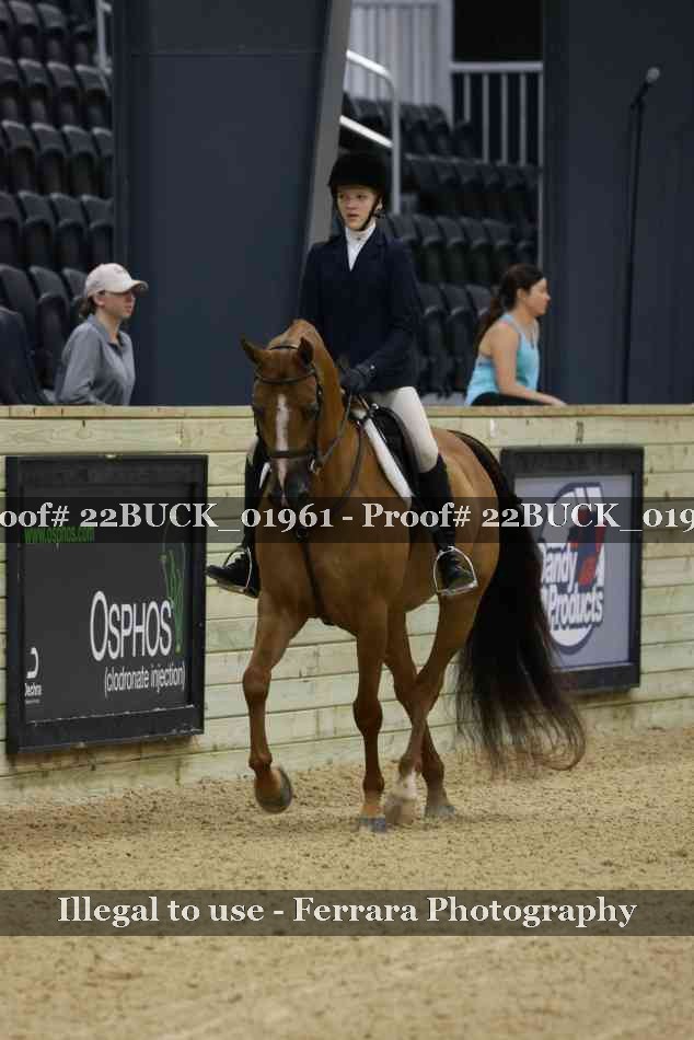 Proof 22BUCK_01961