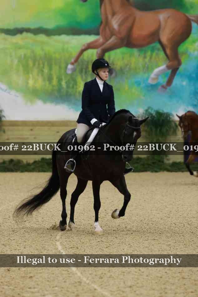 Proof 22BUCK_01962