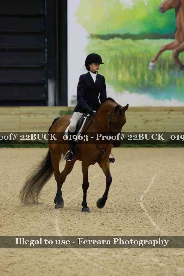 Proof 22BUCK_01963