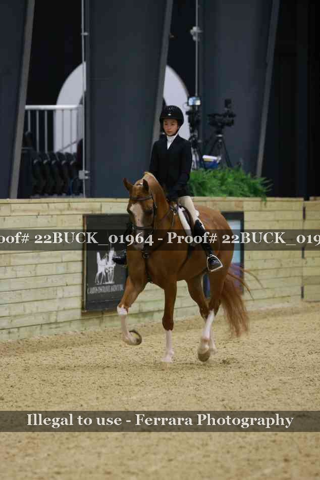 Proof 22BUCK_01964