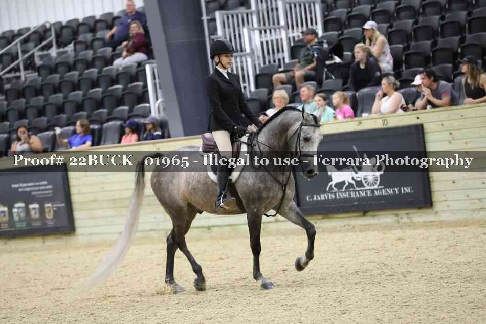 Proof 22BUCK_01965