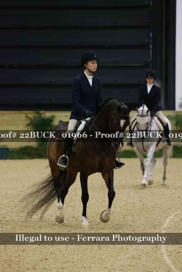 Proof 22BUCK_01966