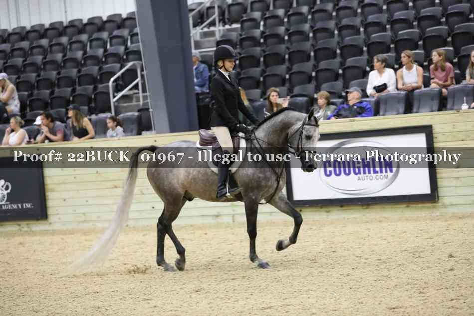 Proof 22BUCK_01967