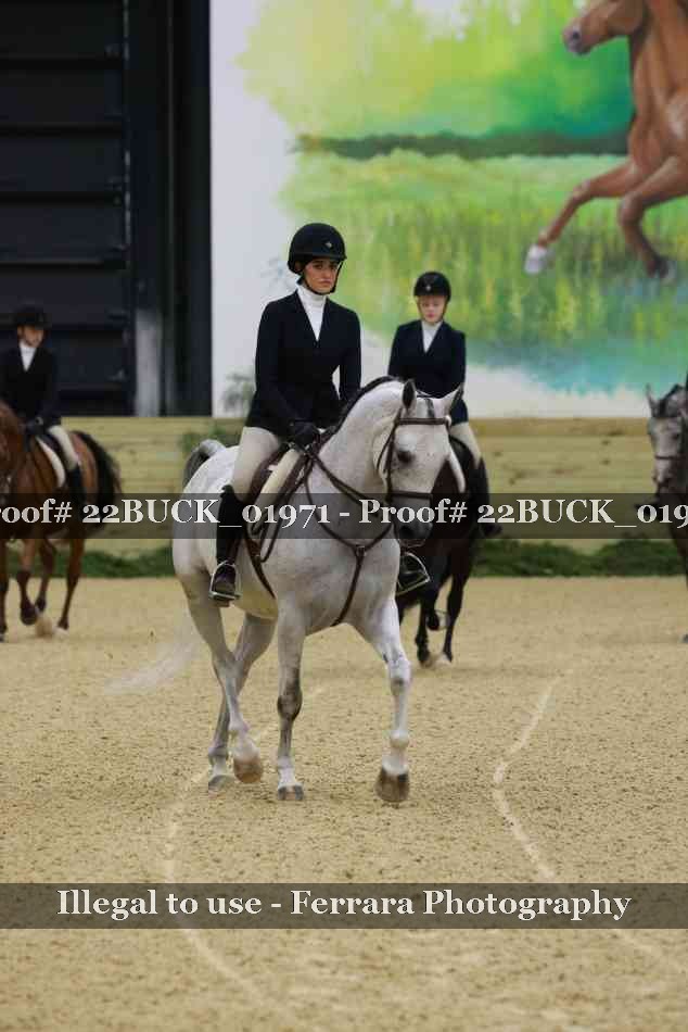 Proof 22BUCK_01971