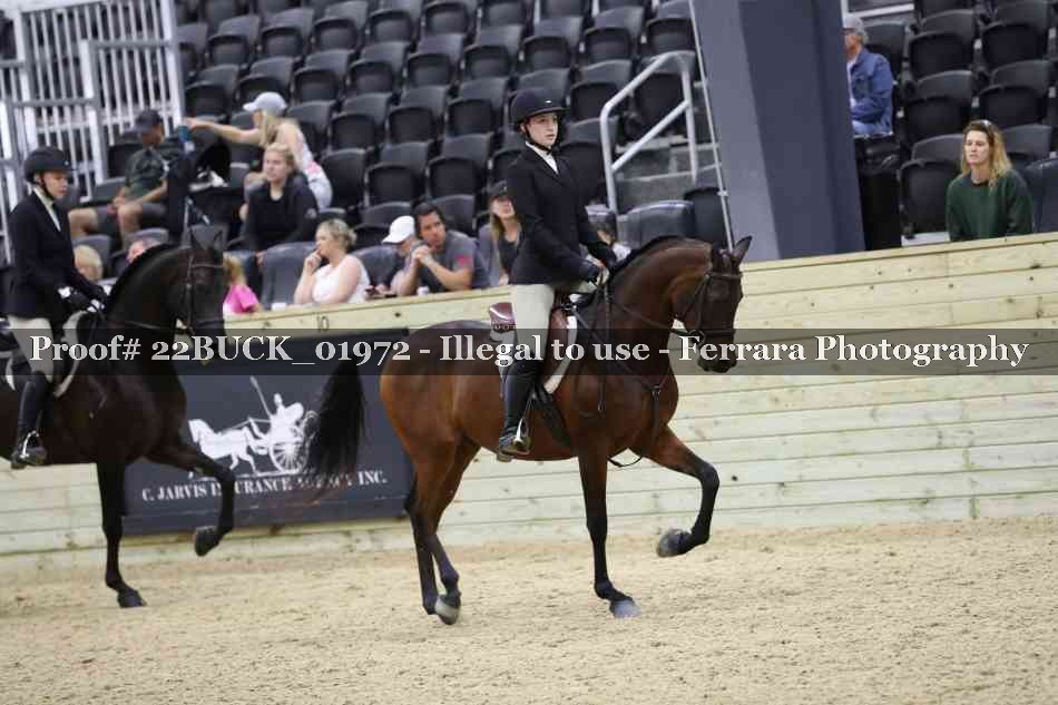 Proof 22BUCK_01972