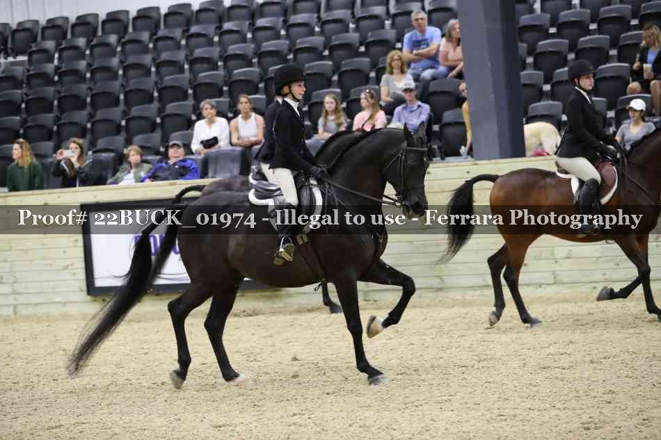 Proof 22BUCK_01974