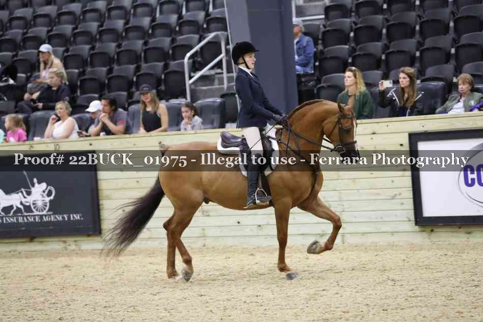 Proof 22BUCK_01975