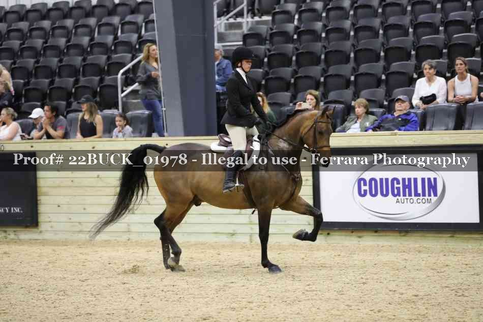 Proof 22BUCK_01978