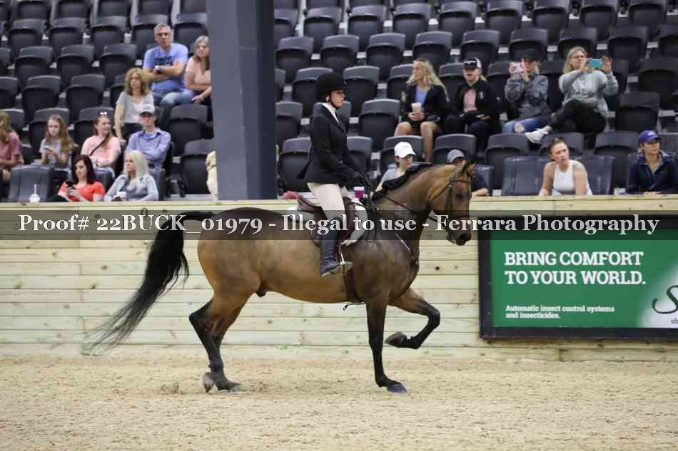 Proof 22BUCK_01979
