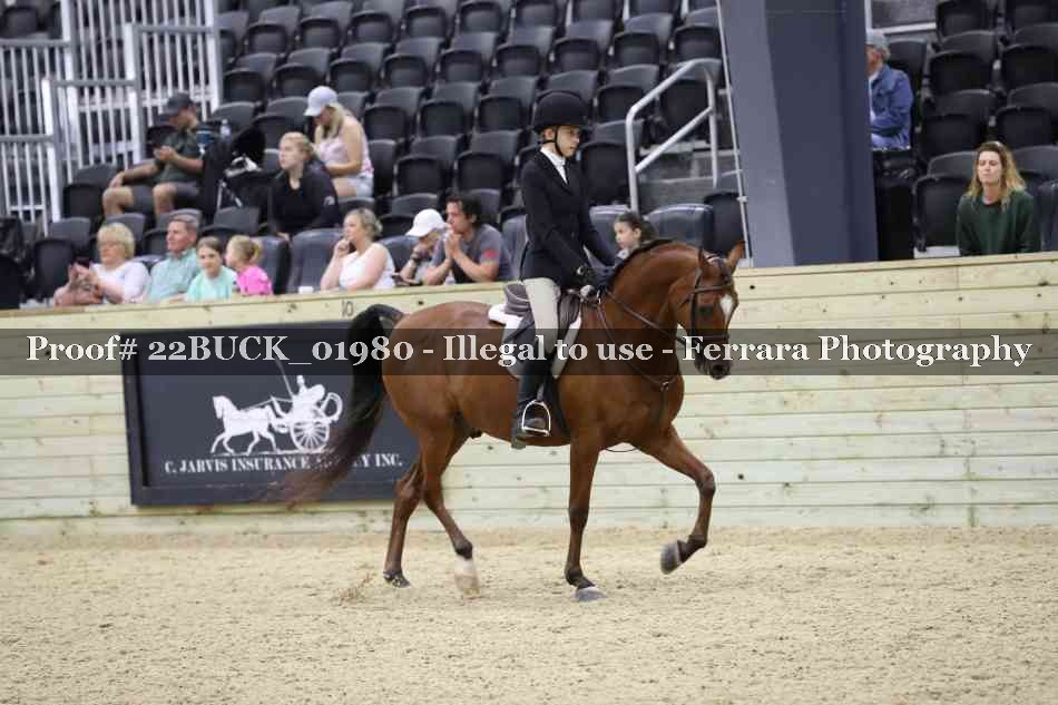 Proof 22BUCK_01980