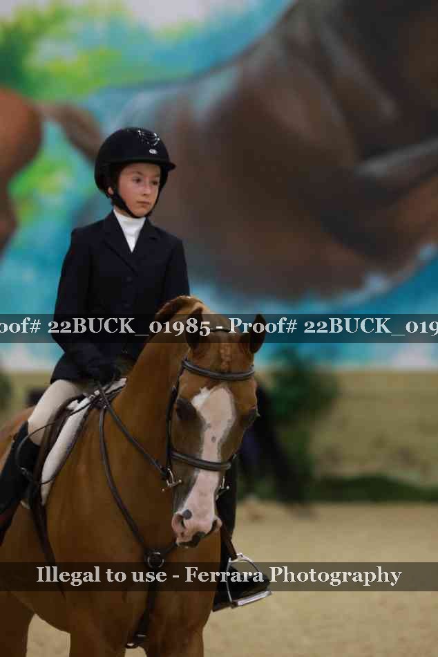 Proof 22BUCK_01985