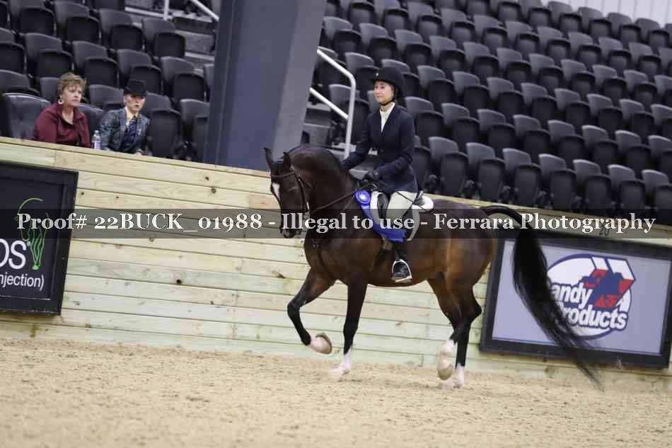 Proof 22BUCK_01988