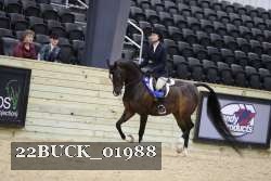 22BUCK_01988 proof