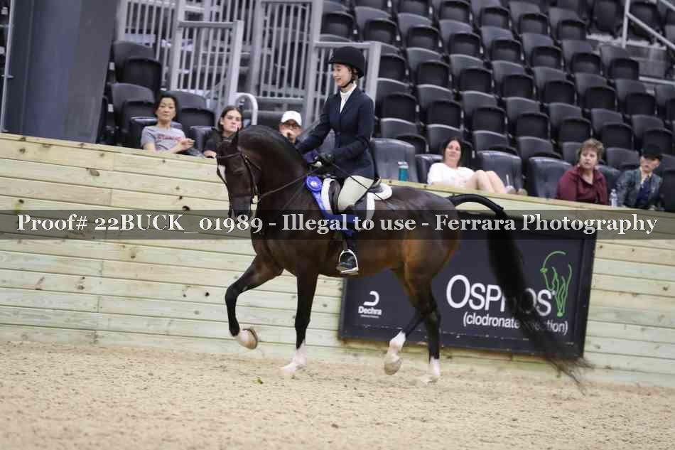 Proof 22BUCK_01989