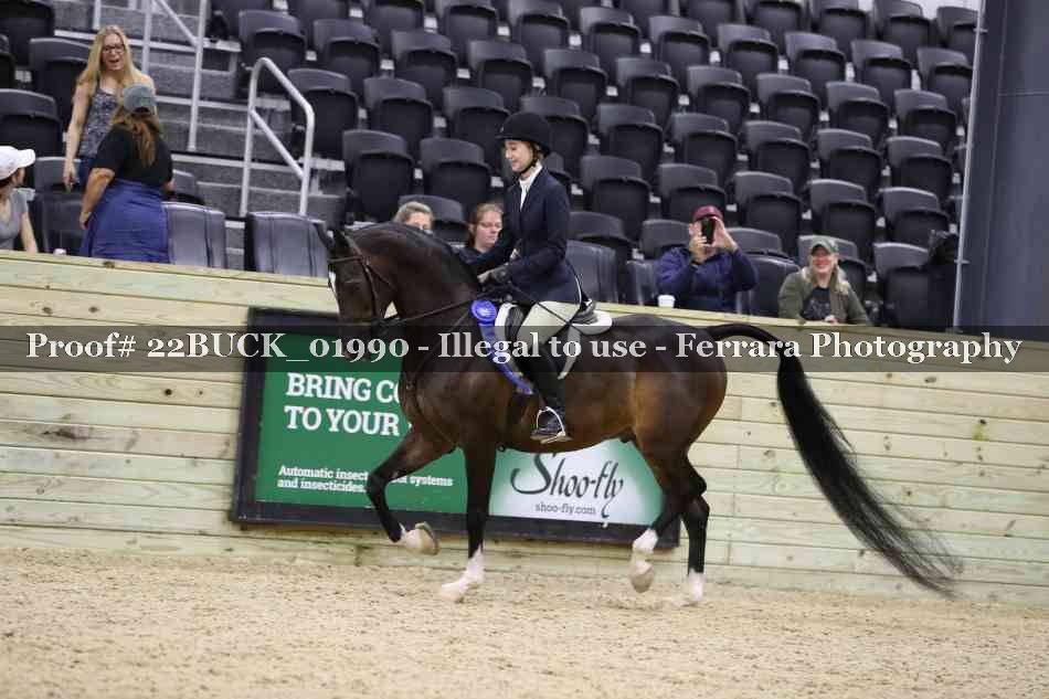 Proof 22BUCK_01990