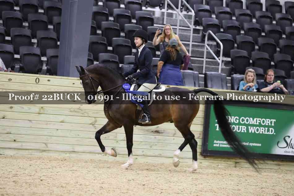 Proof 22BUCK_01991