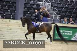 22BUCK_01991 proof